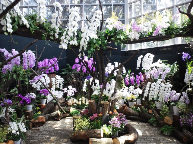 �܂邶��@�܂邶��@����܂���