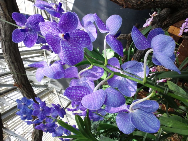 �܂邶��@�܂邶��@����܂���