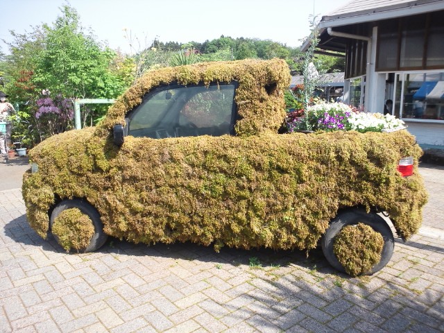 �܂邶��@�܂邶��@����܂���