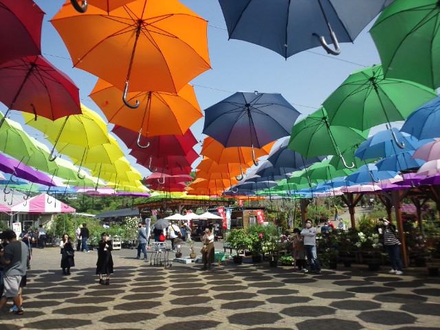 �܂邶��@�܂邶��@����܂���