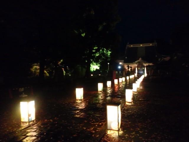 �܂邶��@�܂邶��@����܂���