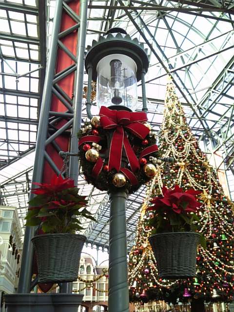 �܂邶��@�܂邶��@����܂���