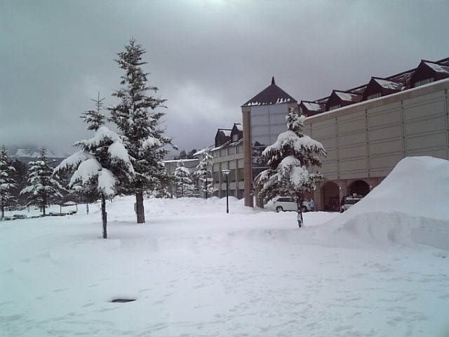 �܂邶��@�܂邶��@����܂���