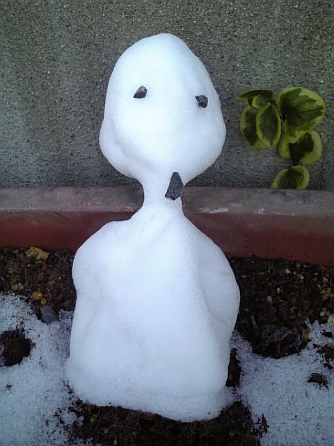 �܂邶��@�܂邶��@����܂���