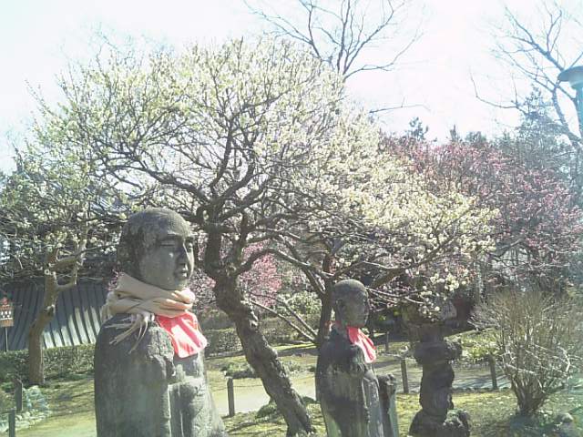 �܂邶��@�܂邶��@����܂���