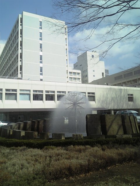 �܂邶��@�܂邶��@����܂���