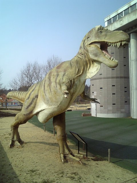 �܂邶��@�܂邶��@����܂���