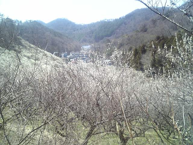 �܂邶��@�܂邶��@����܂���