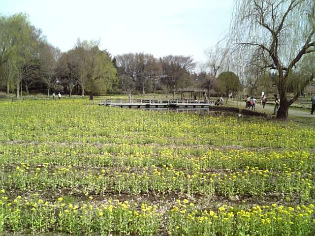 �܂邶��@�܂邶��@����܂���