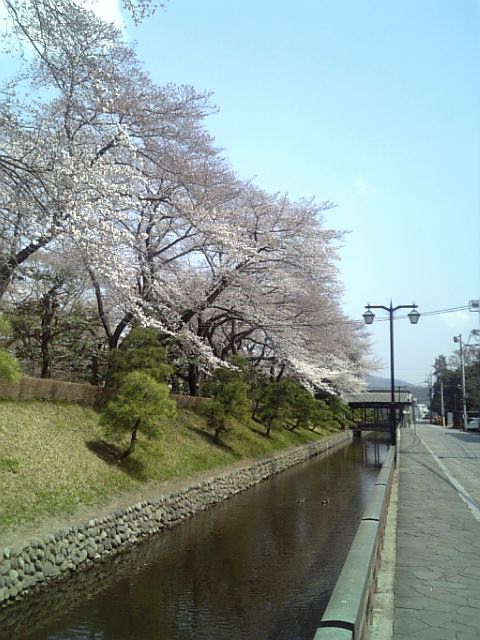 �܂邶��@�܂邶��@����܂���