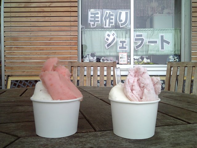 �܂邶��@�܂邶��@����܂���