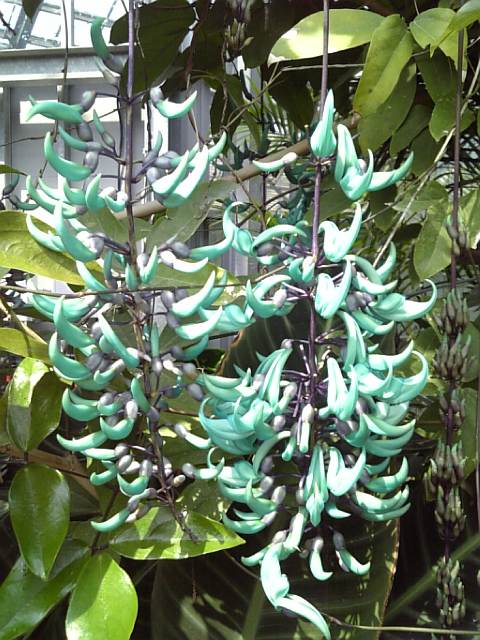 �܂邶��@�܂邶��@����܂���