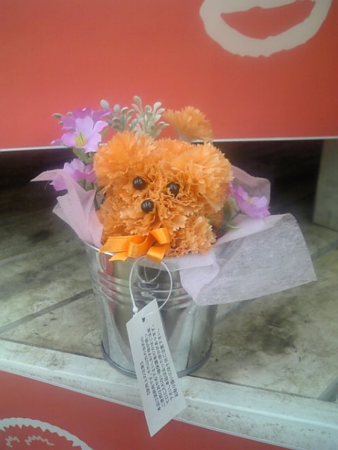 �܂邶��@�܂邶��@����܂���