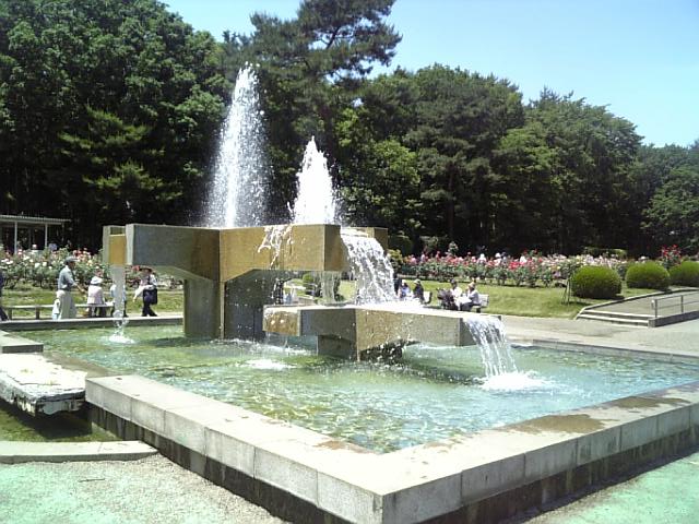 �܂邶��@�܂邶��@����܂���