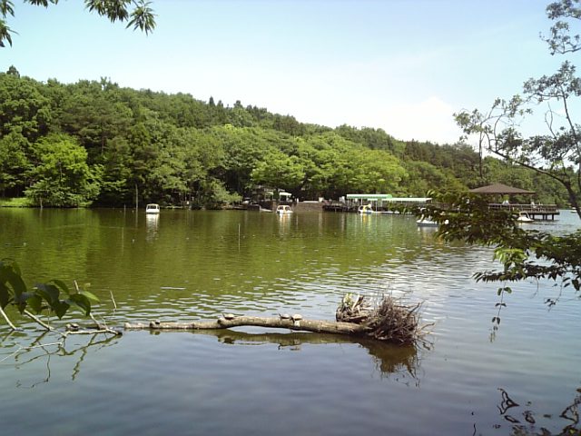 �܂邶��@�܂邶��@����܂���