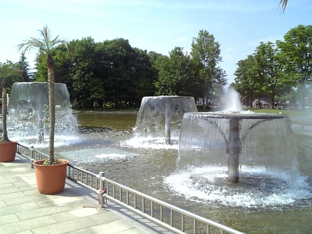 �܂邶��@�܂邶��@����܂���