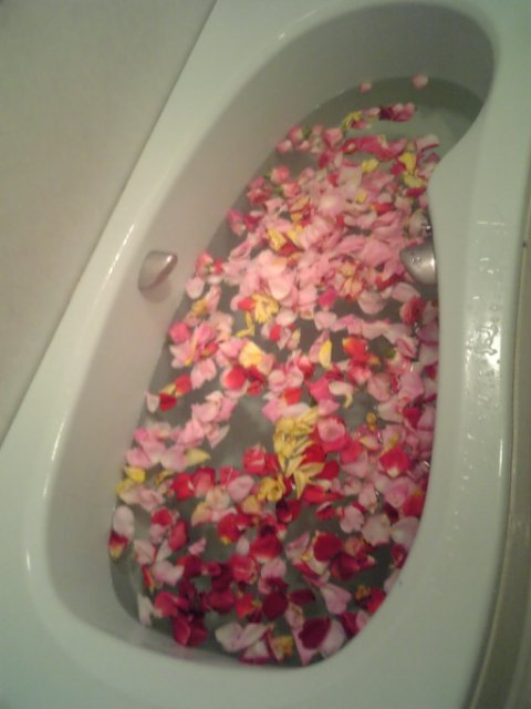 �܂邶��@�܂邶��@����܂���