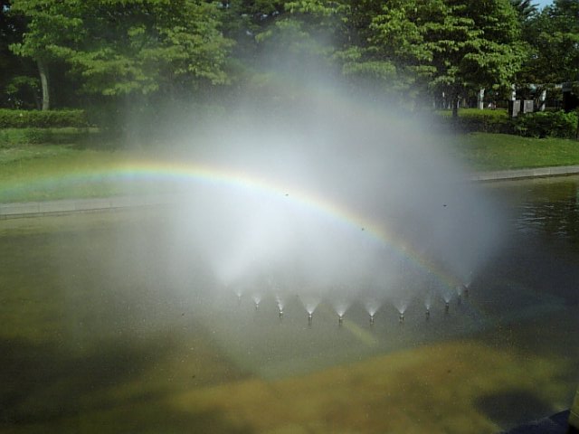 �܂邶��@�܂邶��@����܂���