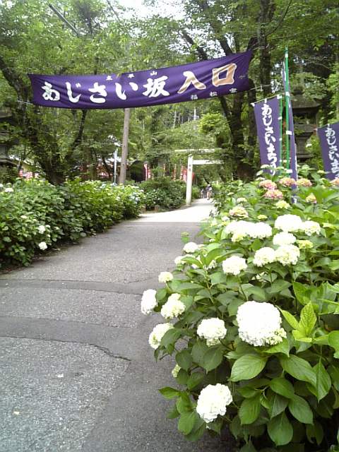 �܂邶��@�܂邶��@����܂���