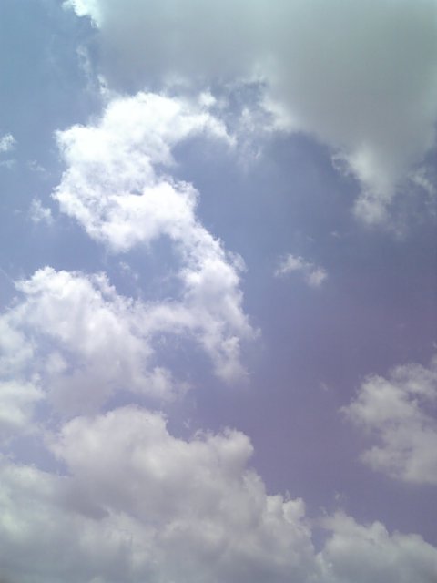 �܂邶��@�܂邶��@����܂���