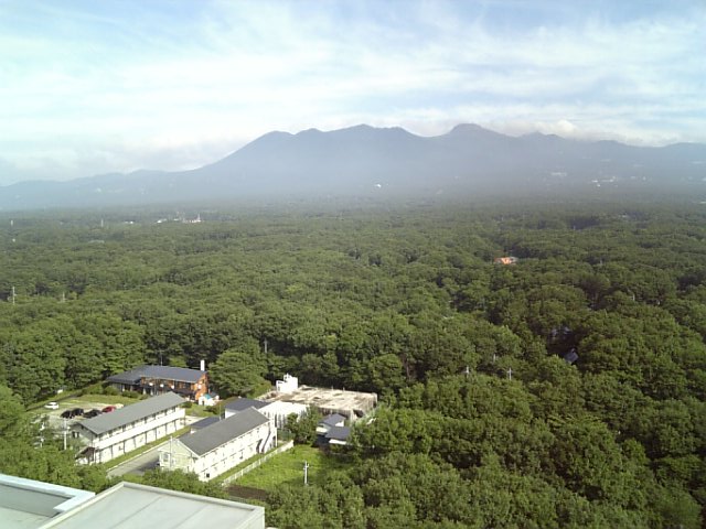 �܂邶��@�܂邶��@����܂���