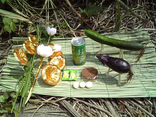 �܂邶��@�܂邶��@����܂���