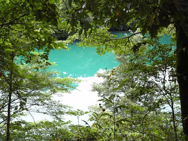 �܂邶��@�܂邶��@����܂���