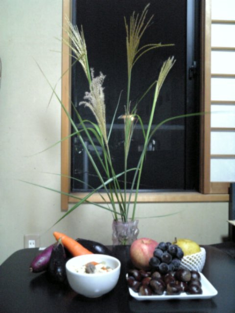 �܂邶��@�܂邶��@����܂���