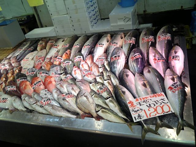 �܂邶��@�܂邶��@����܂���