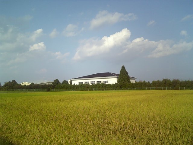 �܂邶��@�܂邶��@����܂���