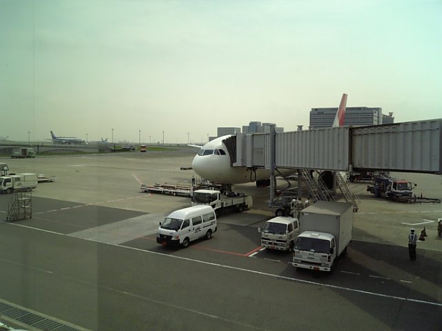 �܂邶��@�܂邶��@����܂���