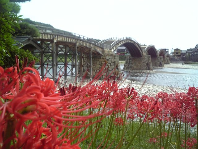 �܂邶��@�܂邶��@����܂���