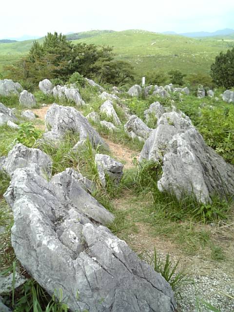 �܂邶��@�܂邶��@����܂���