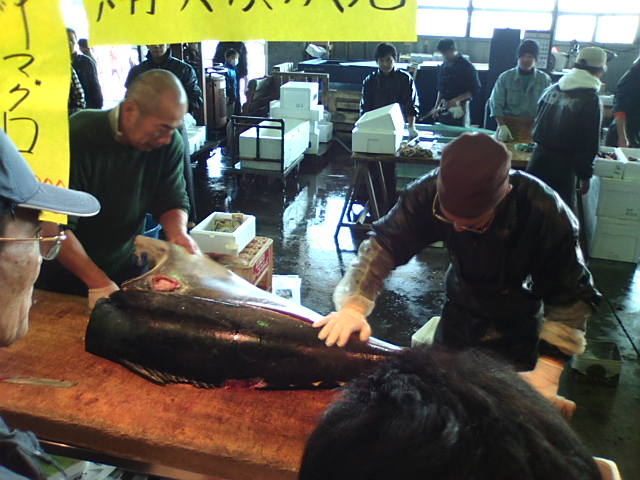 �܂邶��@�܂邶��@����܂���