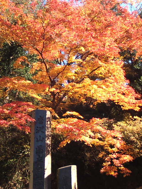 �܂邶��@�܂邶��@����܂���