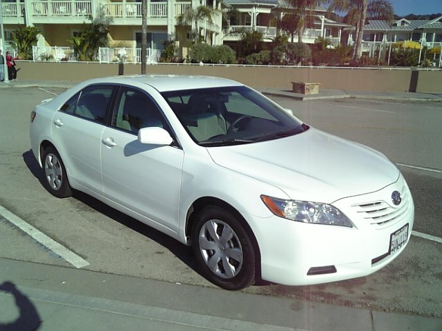 �܂邶��@�܂邶��@����܂���