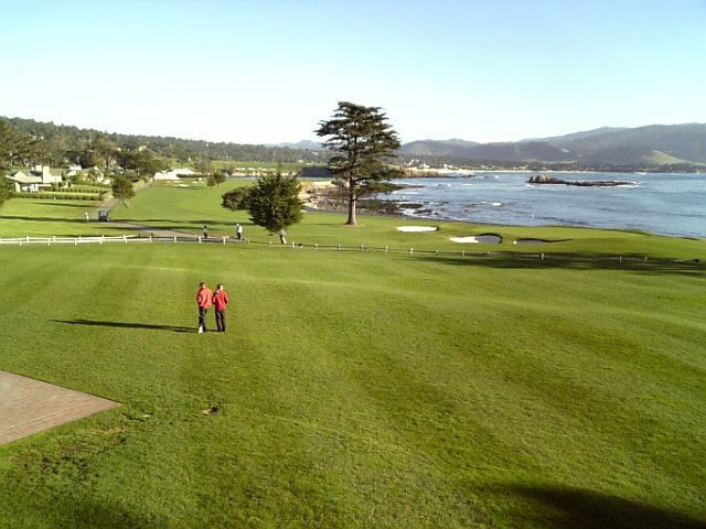 �܂邶��@�܂邶��@����܂���