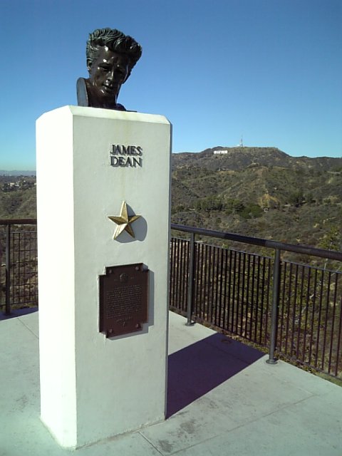 �܂邶��@�܂邶��@����܂���