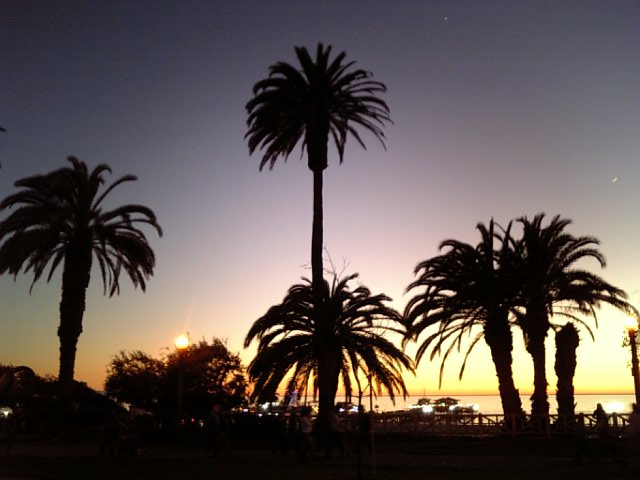 �܂邶��@�܂邶��@����܂���