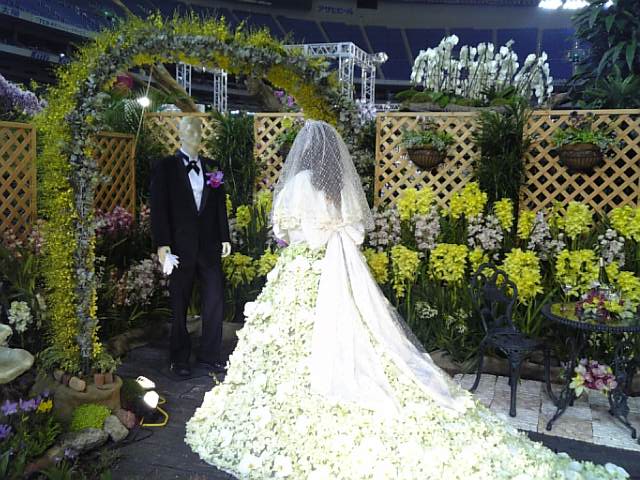 �܂邶��@�܂邶��@����܂���