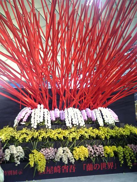 �܂邶��@�܂邶��@����܂���