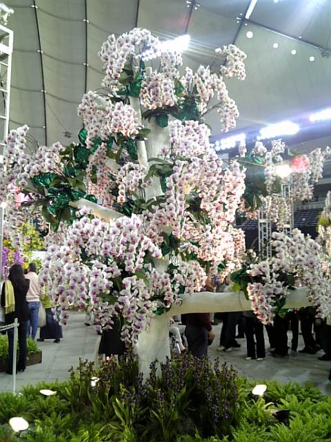 �܂邶��@�܂邶��@����܂���