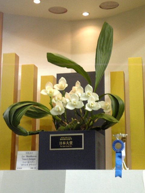 �܂邶��@�܂邶��@����܂���