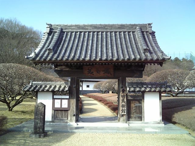 �܂邶��@�܂邶��@����܂���