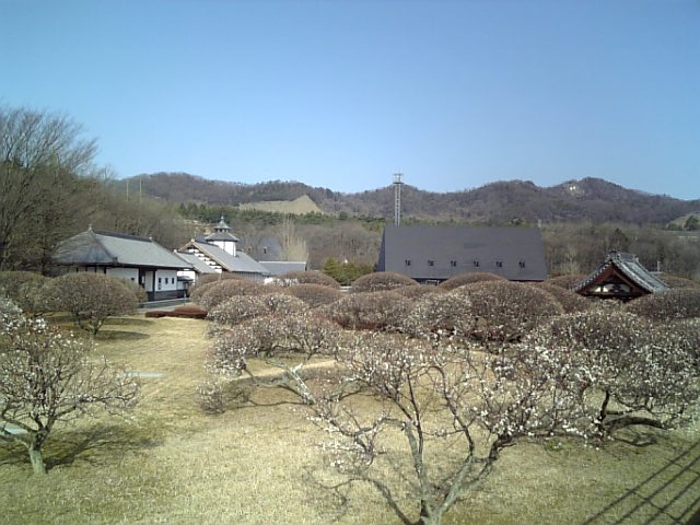 �܂邶��@�܂邶��@����܂���