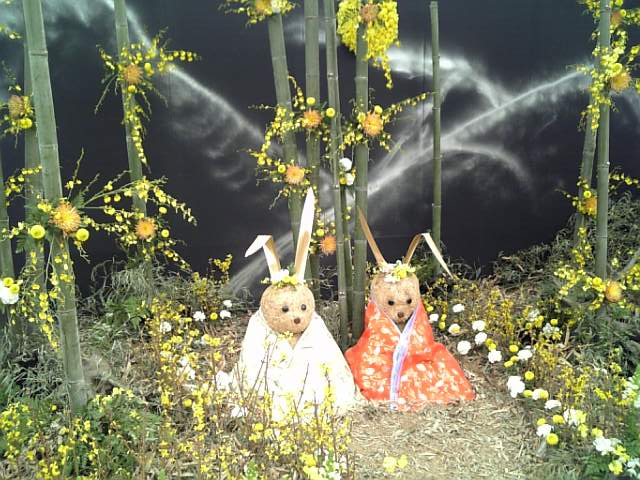 �܂邶��@�܂邶��@����܂���