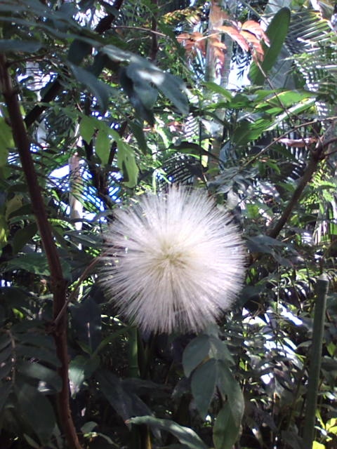 �܂邶��@�܂邶��@����܂���