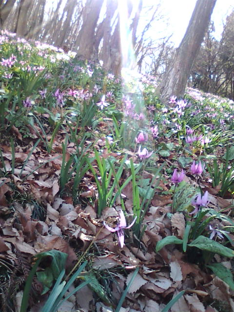 �܂邶��@�܂邶��@����܂���