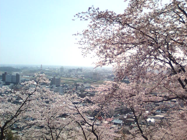 �܂邶��@�܂邶��@����܂���