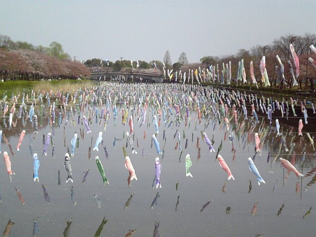 �܂邶��@�܂邶��@����܂���